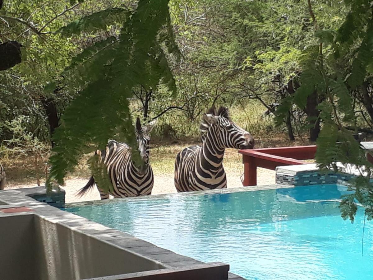 ทูราโก้ลอดจ์ Bed & Breakfast มาร์ลอทพาร์ค ภายนอก รูปภาพ